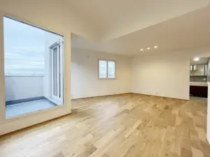 Jiyugaoka 8 min Brand New House — 2