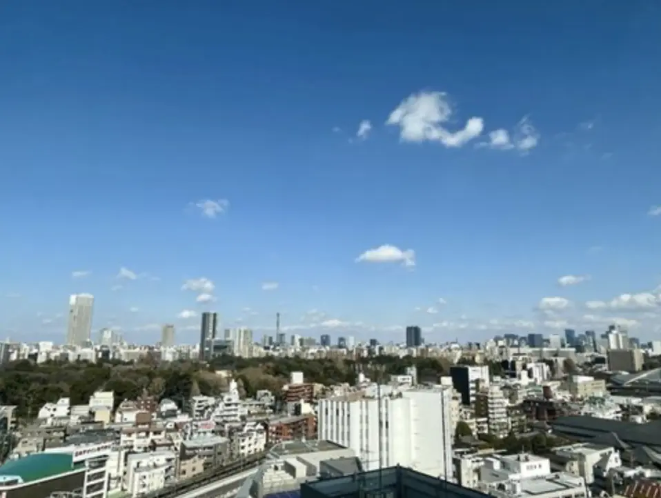 Yoyogi 6 min Designer Tower apartment 2 Bedroom Park View