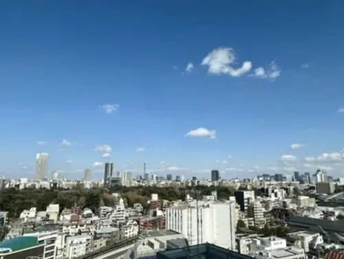 Yoyogi 6 min Designer Tower apartment 2 Bedroom Park View