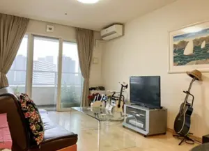 Shibaura Island Cape Tower South Facing Canal View 2 Bedroom Apartment — 4
