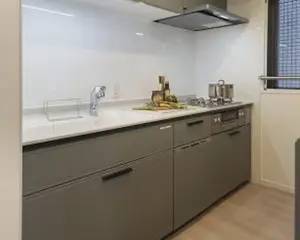 Akasaka 6 min Renovated 2 Bedroom apartment (2) — 5