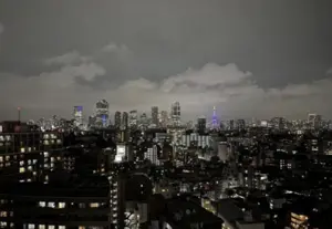 Grand Hills Ebisu High Floor 2 Bedroom Tokyo Tower view — 3
